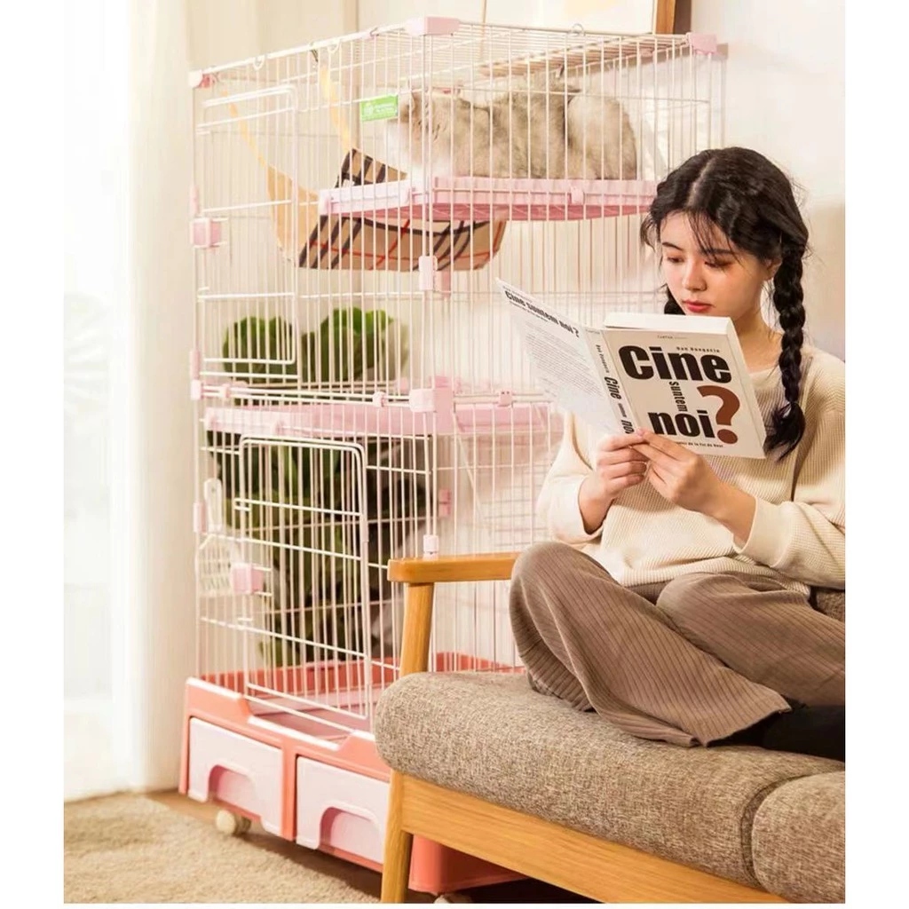 居家情境 - 貓咪舒適休息，主人在旁陪伴